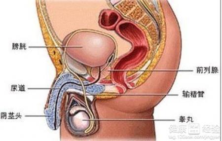 前列腺癌应如何预防建议你从这三方面着手